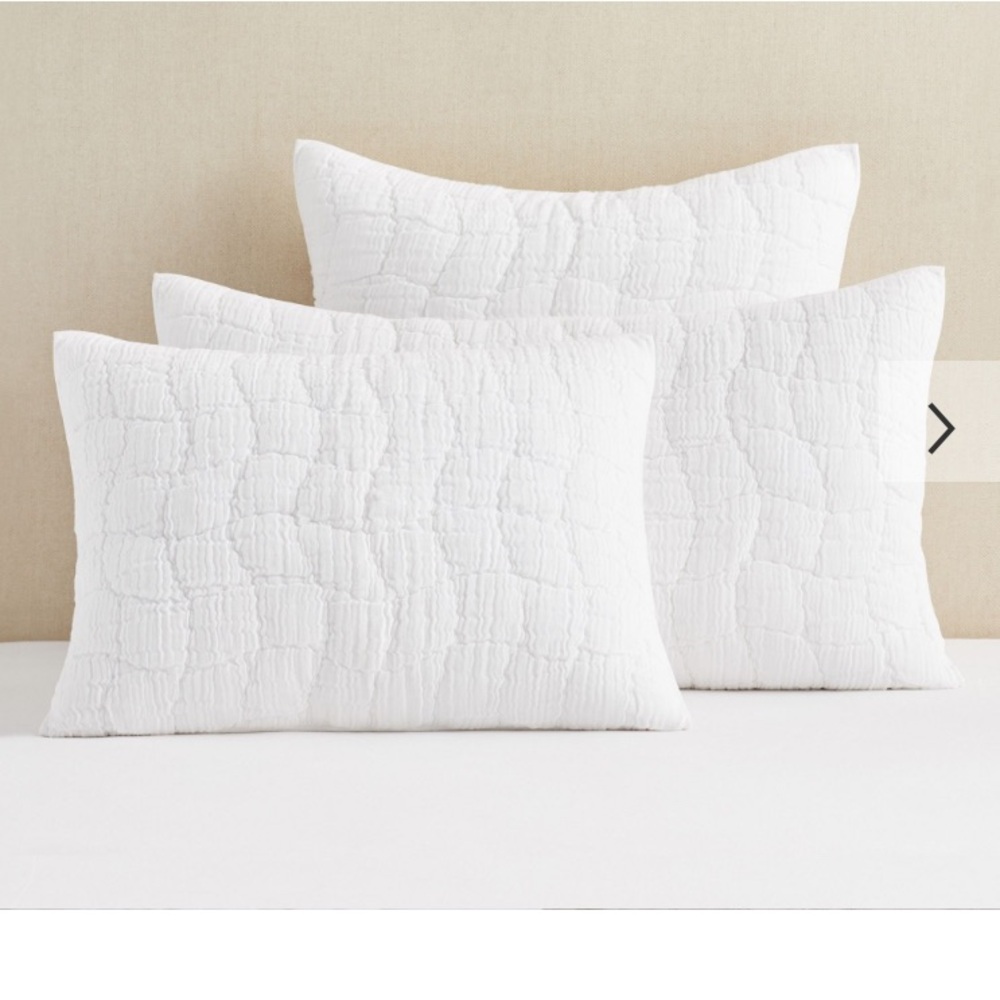 New Pottery Barn cloud linen cotton handcrafted quilted standard shams
